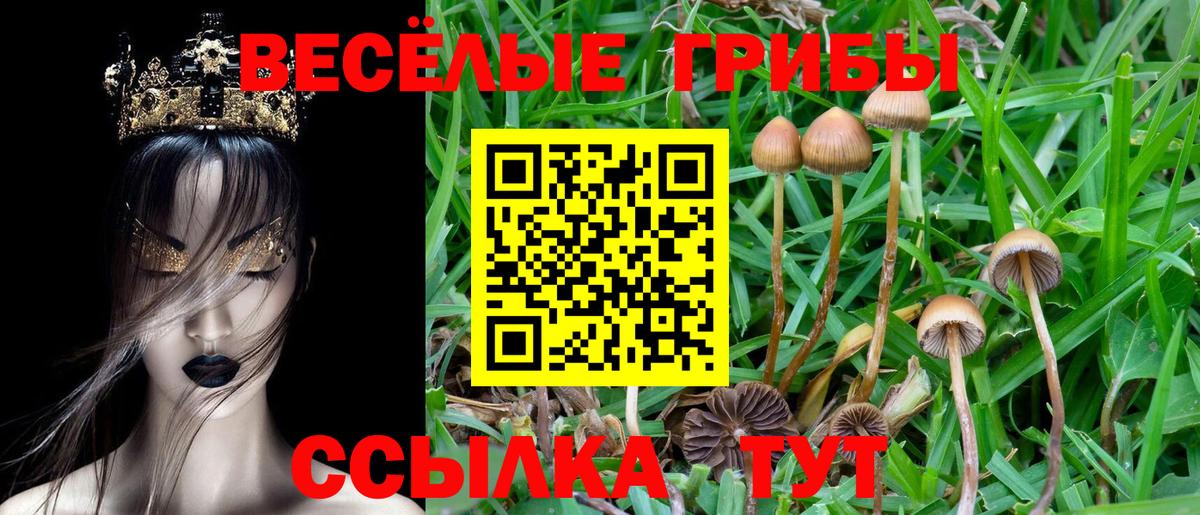 Псилоцибиновые грибы MAGIC MUSHROOMS Кизляр
