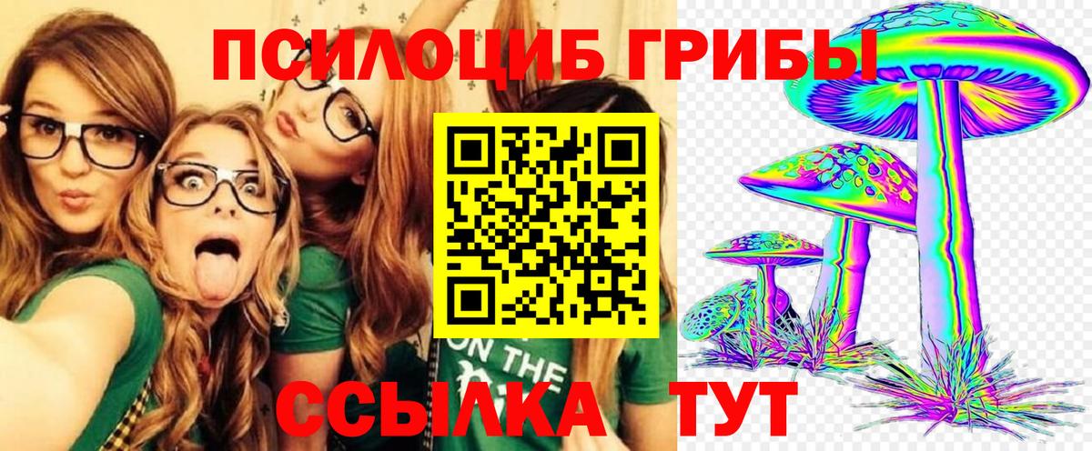 Псилоцибиновые грибы Magic Shrooms  Псилоцибиновые грибы Cubensis  как найти закладки  Вход с VPN  Кизляр 